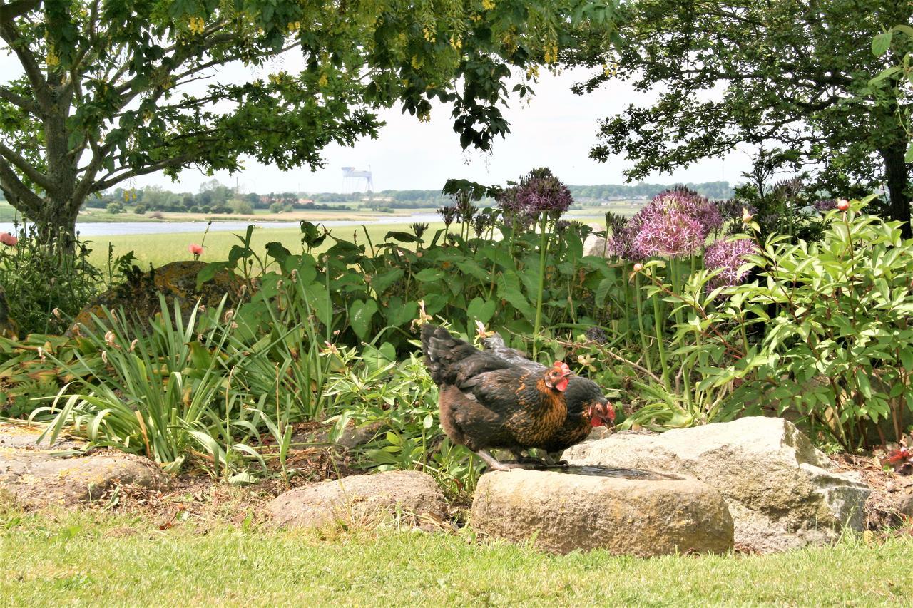 Rodkaergard Bed&Breakfast Kerteminde Exteriér fotografie