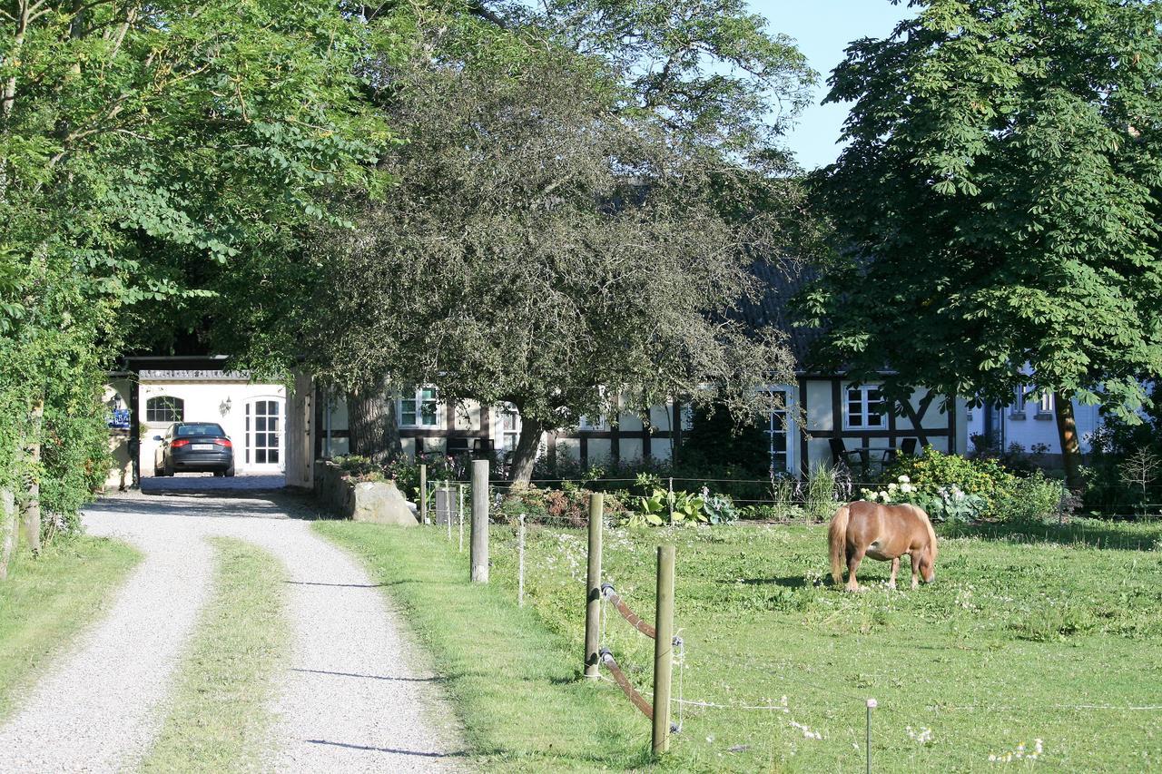 Rodkaergard Bed&Breakfast Kerteminde Exteriér fotografie